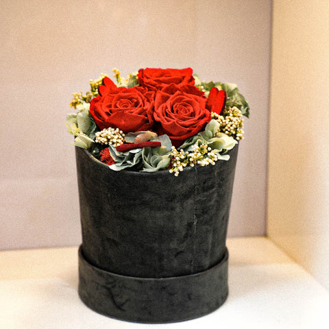 Rose stabilizzate in scatola di velluto - rosse