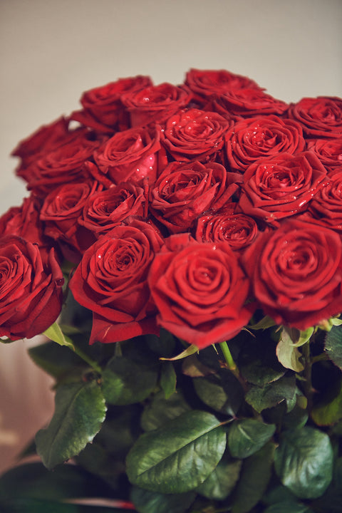 25 Rose rosse alte - qualità black baccarà