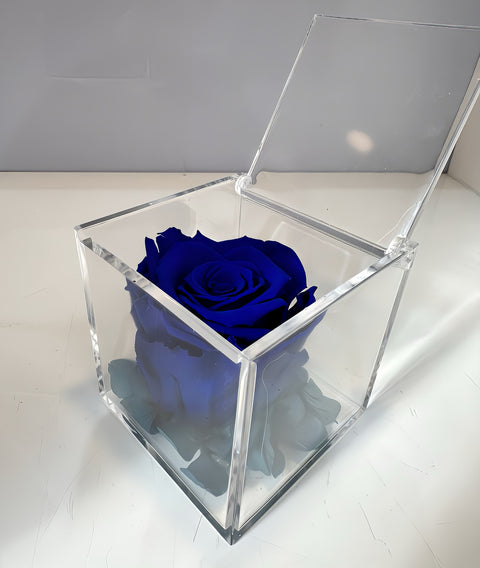 Rosa blu