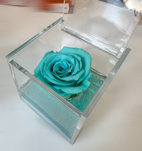 Rosa tiffany stabilizzata