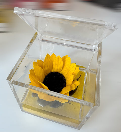 girasole stabilizzato