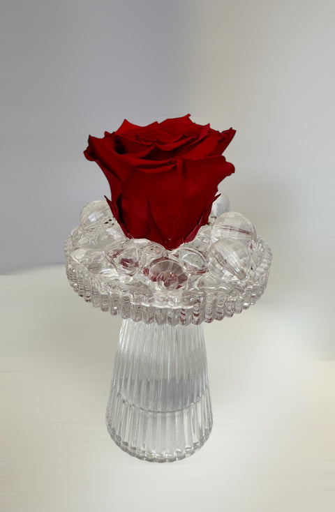 composizione in vasetto ghiaccio