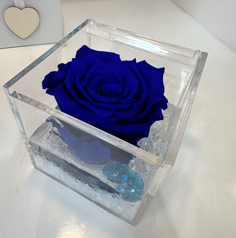 la Rosa blu stabilizzata