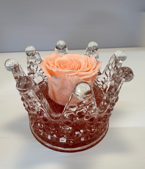 Rosa reale rosa