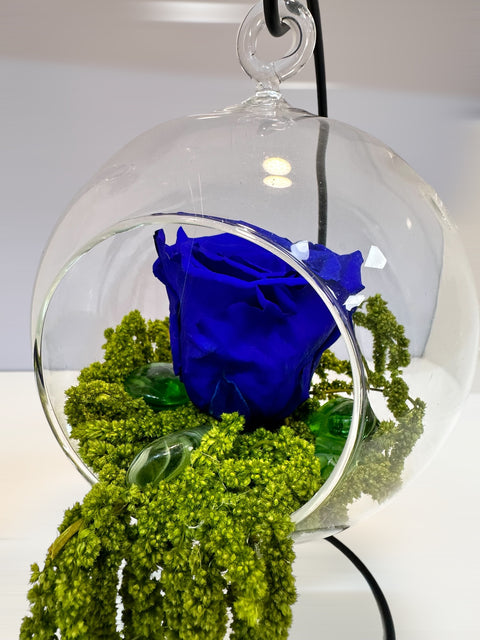 Rosa stabilizzata Blu autunno