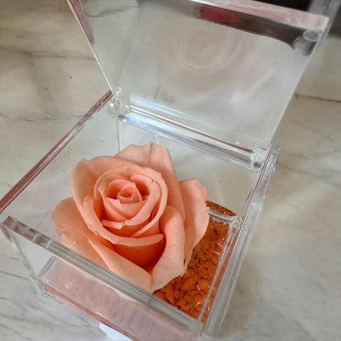 Rosa salmone stabilizzata