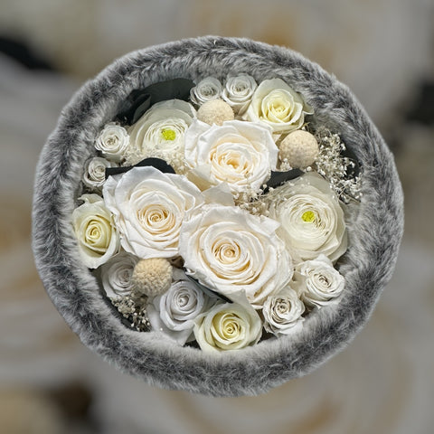 Gift roses - bianca scatola in velluto