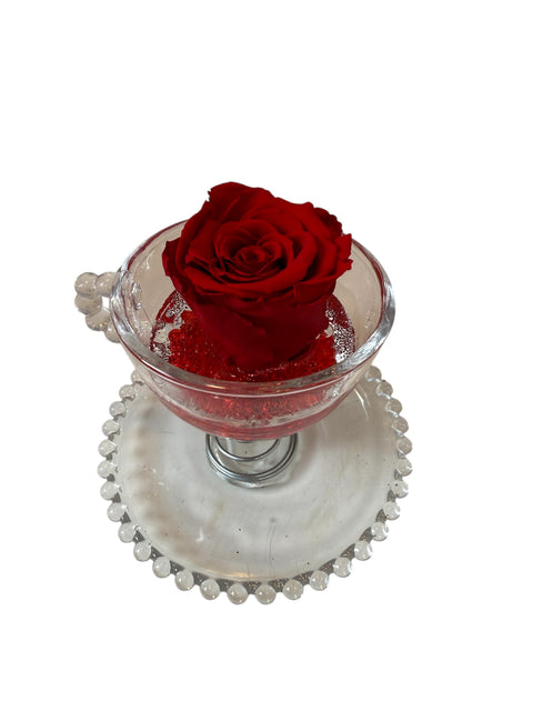 Rosa stabilizzata nella tazza new Collection -