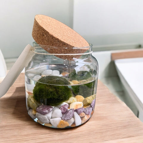 Marimo