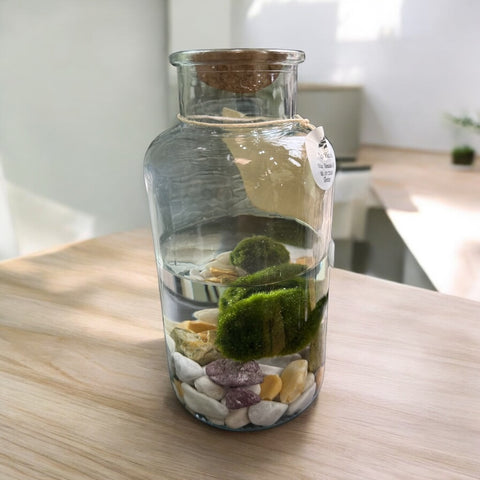 Marimo 3