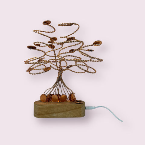 L'albero dei soldi che si illumina