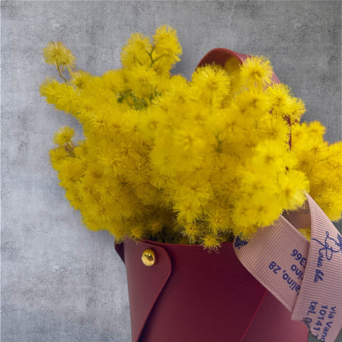 Mimosa borsetta secchiello - idea regalo festa della donna NEW