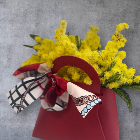 Mimosa borsetta e foulard - idea regalo festa della donna NEW