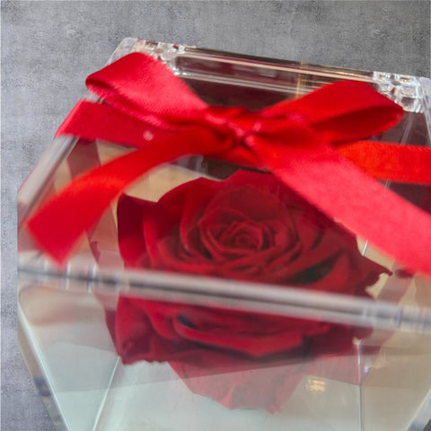 La Rosa rossa stabilizzata