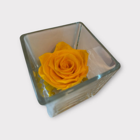 Rosa arancio stabilizzata in vasetto di vetro