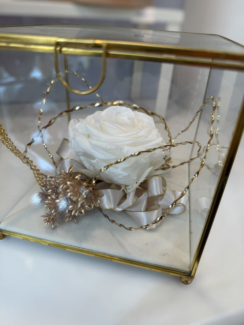 rosa stabilizzata panna