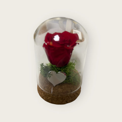 rosa rossa in piccola campana e cuoricino
