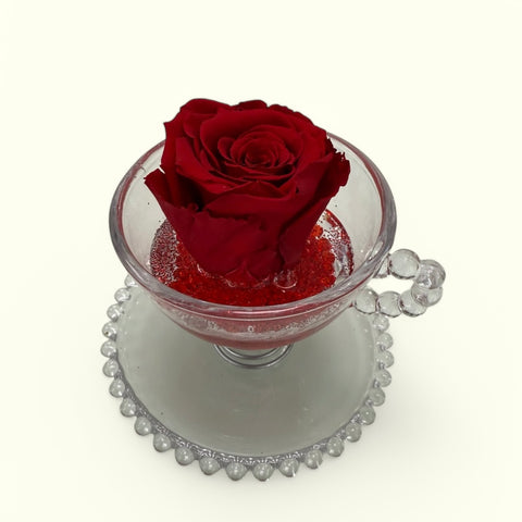 Rosa stabilizzata nella tazza new Collection -