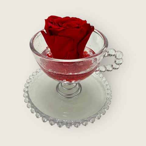 Rosa stabilizzata nella tazza new Collection -