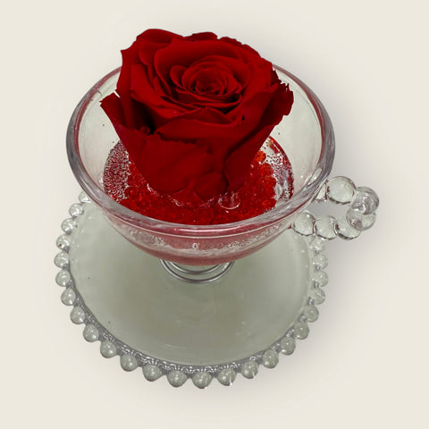 Rosa stabilizzata nella tazza new Collection -
