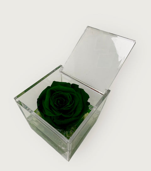 Eternal Roses | verde