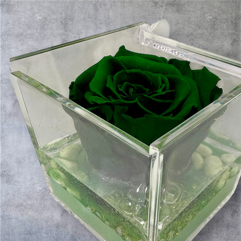 Eternal Roses | verde