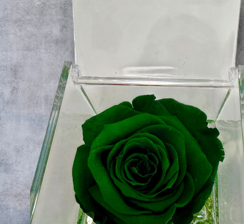 Eternal Roses | verde
