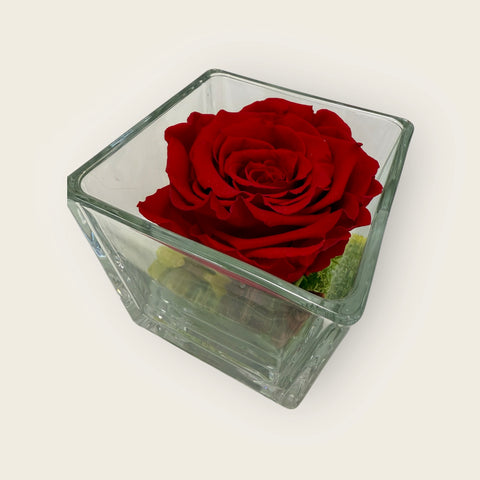 La Rosa rossa stabilizzata cubo ornamenti
