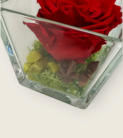 La Rosa rossa stabilizzata cubo ornamenti