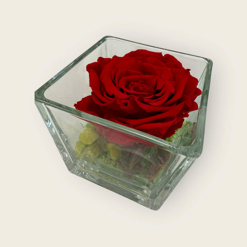 La Rosa rossa stabilizzata cubo ornamenti