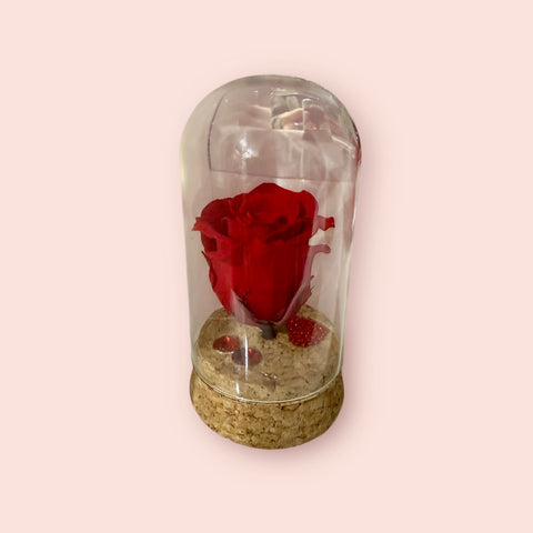 rosa rossa in piccola campana 2