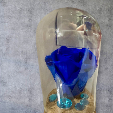 rosa blu in piccola campana 2