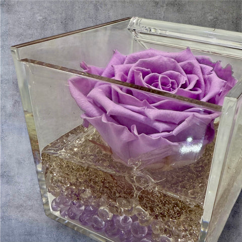 Rosa violetta e sabbiolina