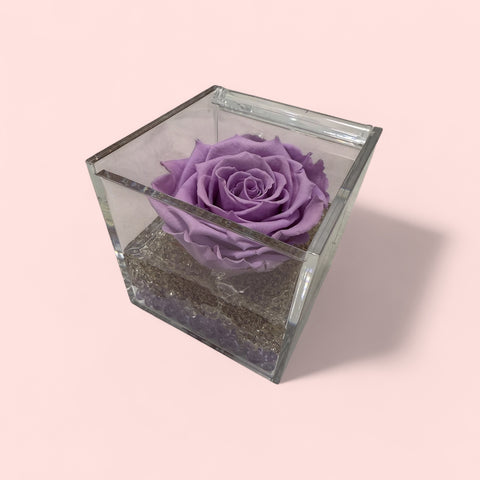 Rosa violetta e sabbiolina