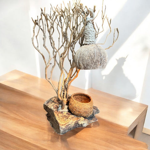 Lampada cocchi