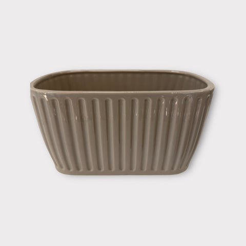 vaso piantine
