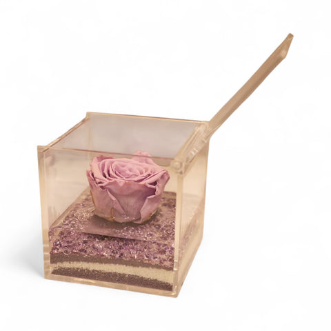 Eternal Roses | Cube lilla | media