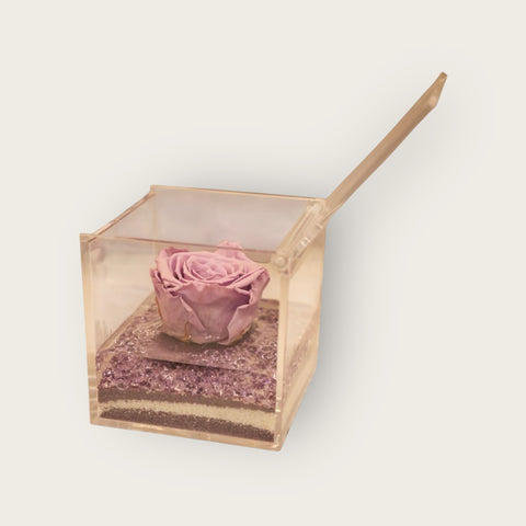 Eternal Roses | Cube lilla | media