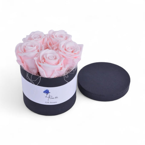 Gift roses | 5 rose eterne | Rosa