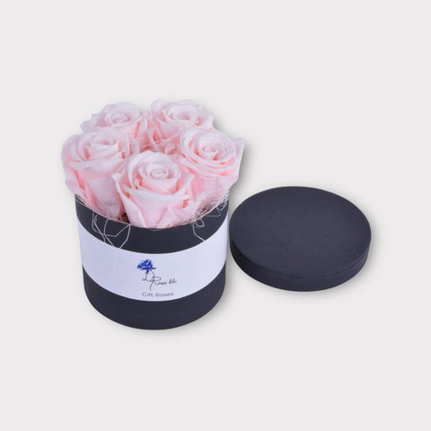 Gift roses | 5 rose eterne | Rosa