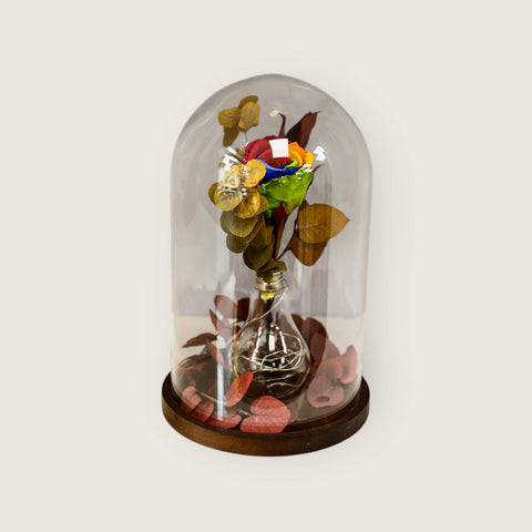La Rosa delle idee rossa