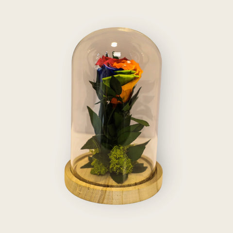 Collezione fiabe | La rosa Incantata tutti i colori  eterna |