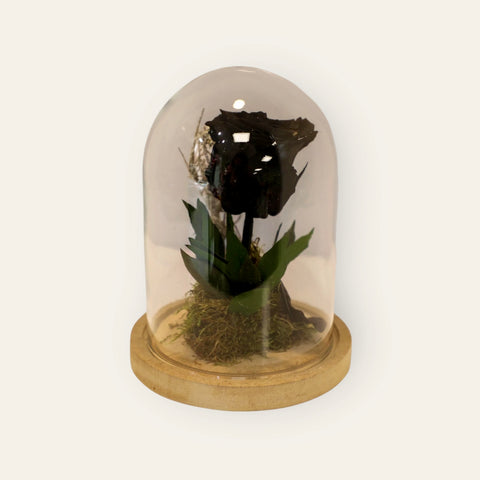 Collezione fiabe | La rosa Incantata nera eterna | Small