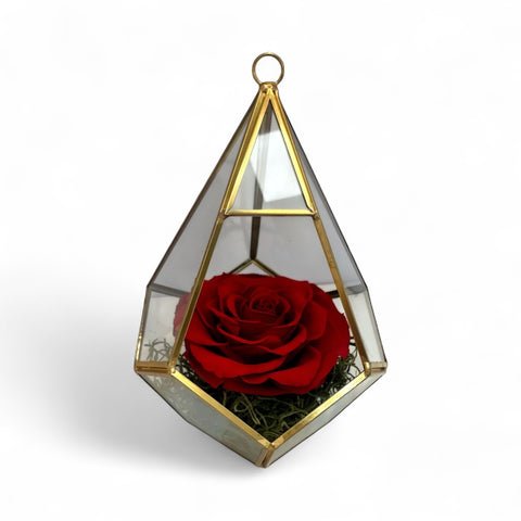 Rosellona rossa stabilizzata