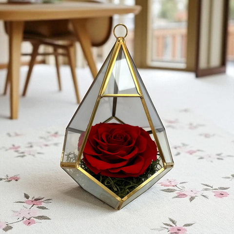 Rosellona rossa stabilizzata