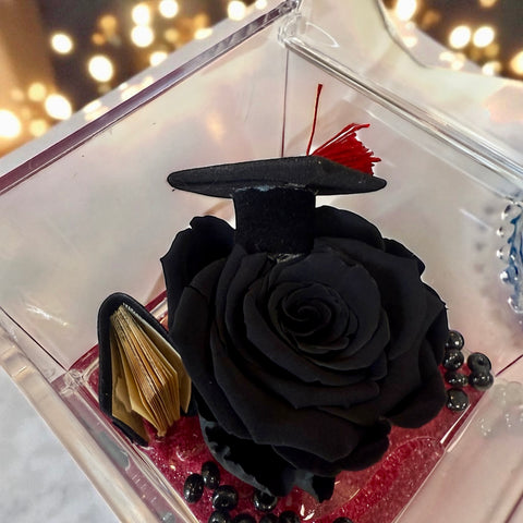 Rosa laurea - NEW nera con capellino e tesi