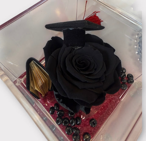 Rosa laurea - NEW nera con capellino e tesi