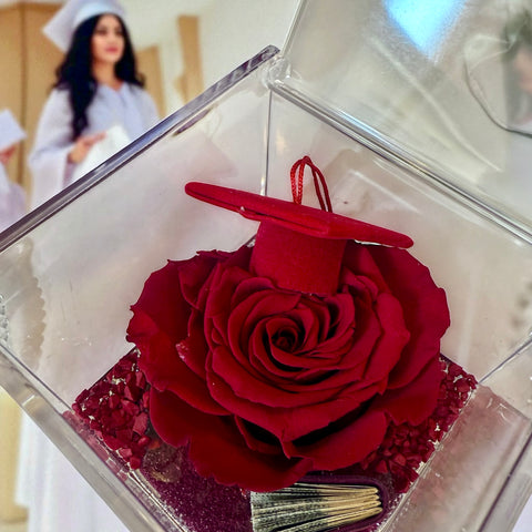 Rosa laurea - NEW granata con capellino e tesi