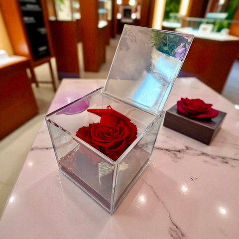 Rosa laurea - NEW granata con capellino e tesi