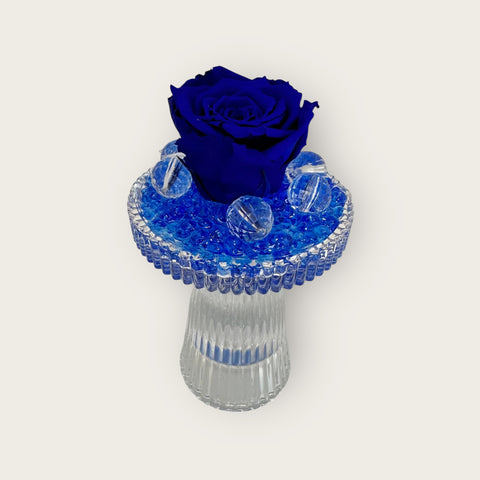 Rosa stabilizzata blu